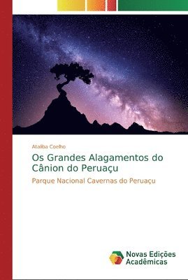 bokomslag Os Grandes Alagamentos do Cnion do Peruau