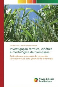 bokomslag Investigao trmica, cintica e morfolgica de biomassas