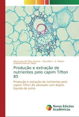 Produo e extrao de nutrientes pelo capim Tifton 85 1