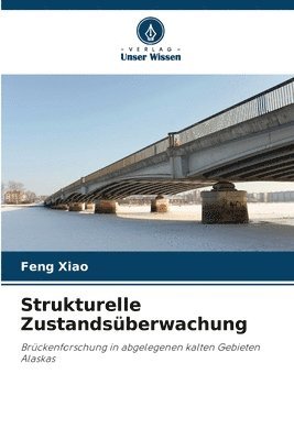 Feng Xiao - Strukturelle Zustandsüberwachung, Häftad