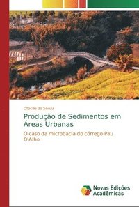 bokomslag Producao de Sedimentos em Areas Urbanas