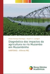 bokomslag Diagnstico dos impactos da agricultura no rio Muzambo em Muzambinho