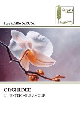 Orchidee