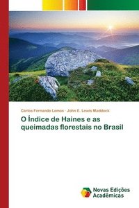 bokomslag O ndice de Haines e as queimadas florestais no Brasil