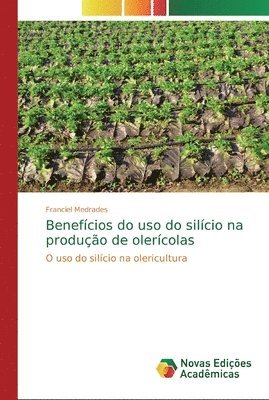 bokomslag Benefcios do uso do silcio na produo de olercolas