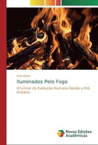 bokomslag Iluminados Pelo Fogo