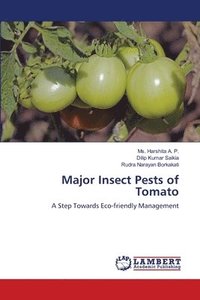 bokomslag Major Insect Pests of Tomato