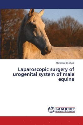 bokomslag Laparoscopic surgery of urogenital system of male equine