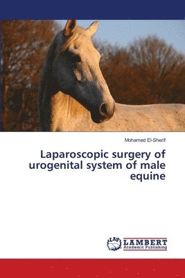 Laparoscopic surgery of urogenital system of male equine 1