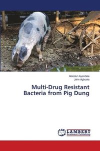 bokomslag Multi-Drug Resistant Bacteria from Pig Dung