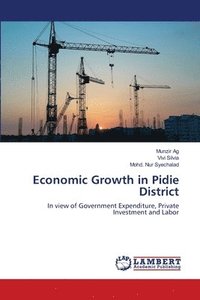 bokomslag Economic Growth in Pidie District