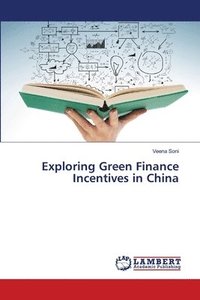 bokomslag Exploring Green Finance Incentives in China