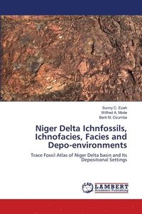 bokomslag Niger Delta Ichnfossils, Ichnofacies, Facies and Depo-environments