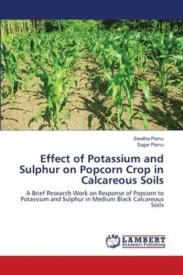 Effect of Potassium and Sulphur on Popcorn Crop in Calcareous Soils 1
