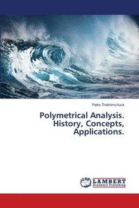 bokomslag Polymetrical Analysis. History, Concepts, Applications.