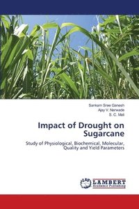 bokomslag Impact of Drought on Sugarcane