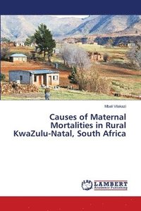 bokomslag Causes of Maternal Mortalities in Rural KwaZulu-Natal, South Africa