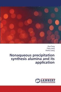 bokomslag Nonaqueous precipitation synthesis alumina and its application