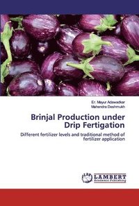 bokomslag Brinjal Production under Drip Fertigation