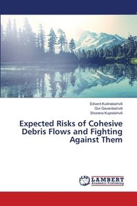 bokomslag Expected Risks of Cohesive Debris Flows and Fighting Against Them