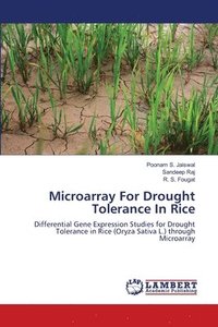 bokomslag Microarray For Drought Tolerance In Rice