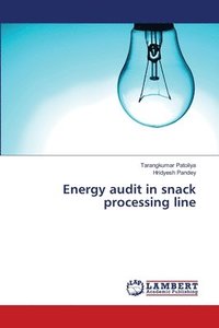 bokomslag Energy audit in snack processing line