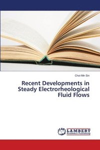 bokomslag Recent Developments in Steady Electrorheological Fluid Flows