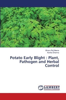 Potato Early Blight 1