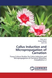 bokomslag Callus Induction and Micropropagation of Carnation