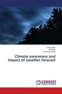 bokomslag Climate awareness and impact of weather forecast