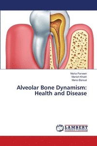 bokomslag Alveolar Bone Dynamism
