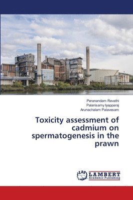 Toxicity assessment of cadmium on spermatogenesis in the prawn 1