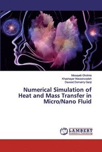bokomslag Numerical Simulation of Heat and Mass Transfer in Micro/Nano Fluid
