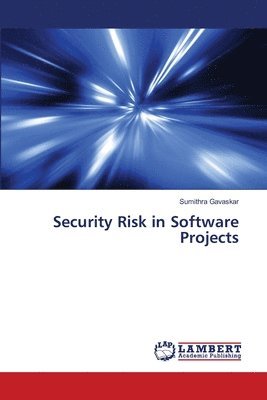 Security Risk in Software Projects 1