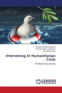 bokomslag Intervening In Humanitarian Crisis