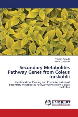 Secondary Metabolites Pathway Genes from Coleus forskohlii 1