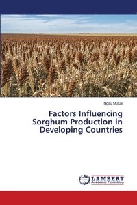 bokomslag Factors Influencing Sorghum Production in Developing Countries