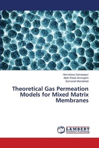 bokomslag Theoretical Gas Permeation Models for Mixed Matrix Membranes