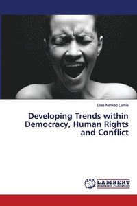 bokomslag Developing Trends within Democracy, Human Rights and Conflict