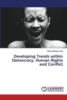 bokomslag Developing Trends within Democracy, Human Rights and Conflict