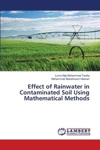 bokomslag Effect of Rainwater in Contaminated Soil Using Mathematical Methods