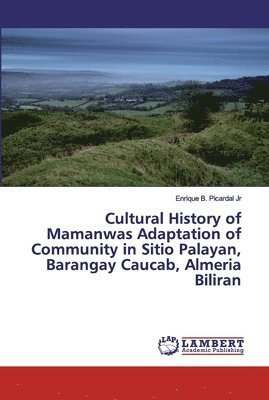 Cultural History of Mamanwas Adaptation of Community in Sitio Palayan, Barangay Caucab, Almeria Biliran 1