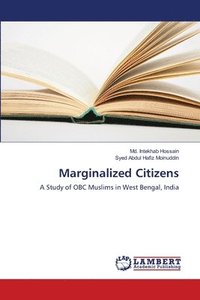 bokomslag Marginalized Citizens