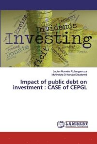 bokomslag Impact of public debt on investment