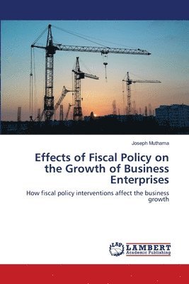 Effects of Fiscal Policy on the Growth of Business Enterprises 1