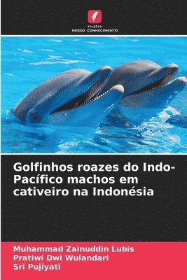 bokomslag Golfinhos roazes do Indo-Pacfico machos em cativeiro na Indonsia