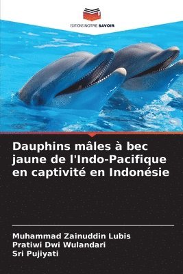 bokomslag Dauphins mâles à bec jaune de l'Indo-Pacifique en captivité en Indonésie