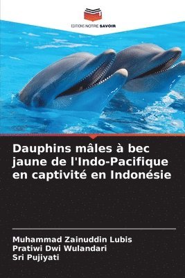 bokomslag Dauphins mles  bec jaune de l'Indo-Pacifique en captivit en Indonsie