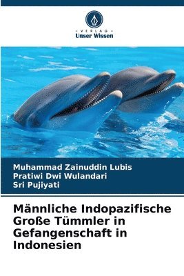 bokomslag Mnnliche Indopazifische Groe Tmmler in Gefangenschaft in Indonesien