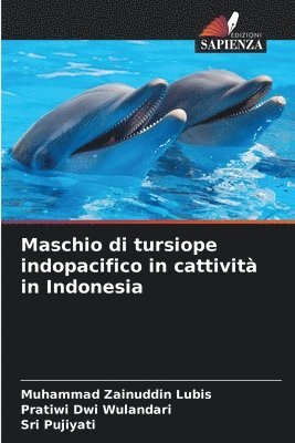 Maschio di tursiope indopacifico in cattività in Indonesia
